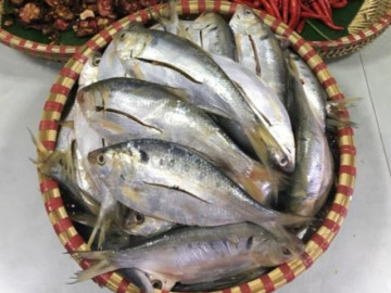 Loại cá rẻ tiền bán đầy ở chợ Việt có lượng dinh dưỡng thượng hạng, ăn một lạng nạp canxi bằng 2 cốc sữa