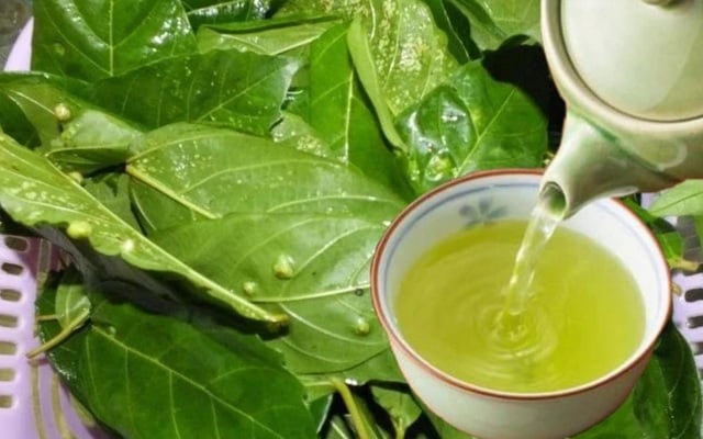 Lá sung nấu trà còn có tác dụng bảo vệ gan, thanh nhiệt cơ thể, và điều trị các bệnh về gan như nóng gan và vàng da.